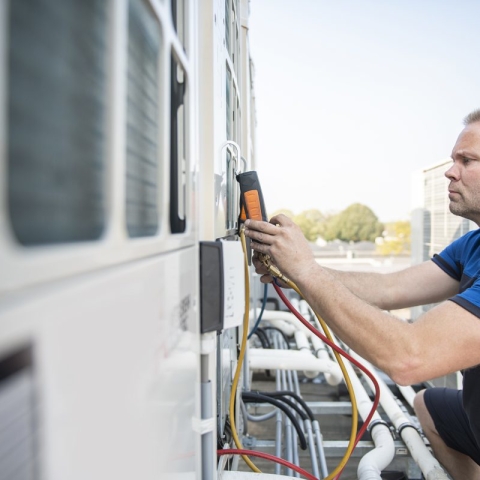 Dolga življenjska doba